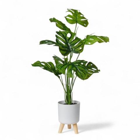 MONSTERA IN VASO H90 CON 9 FOGLIE